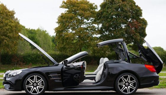 pexels-mikebirdy-13857614