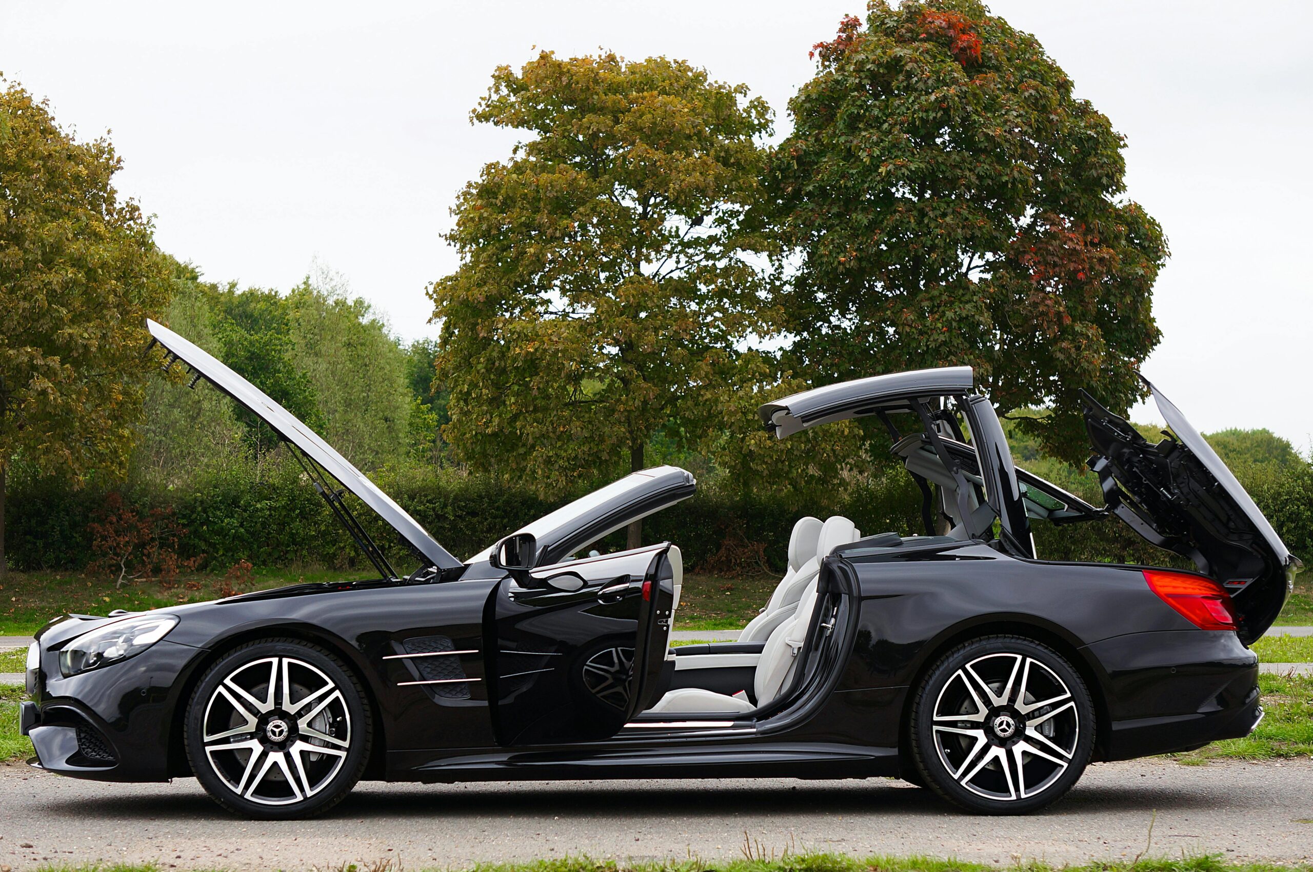 pexels-mikebirdy-13857614